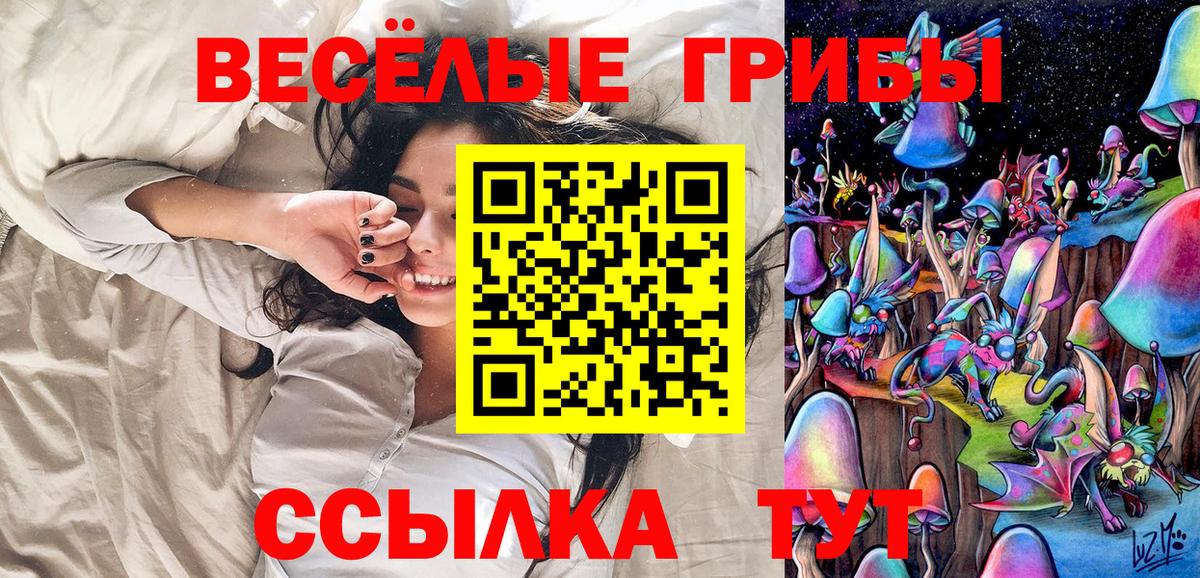 Галлюциногенные грибы Cubensis Ногинск
