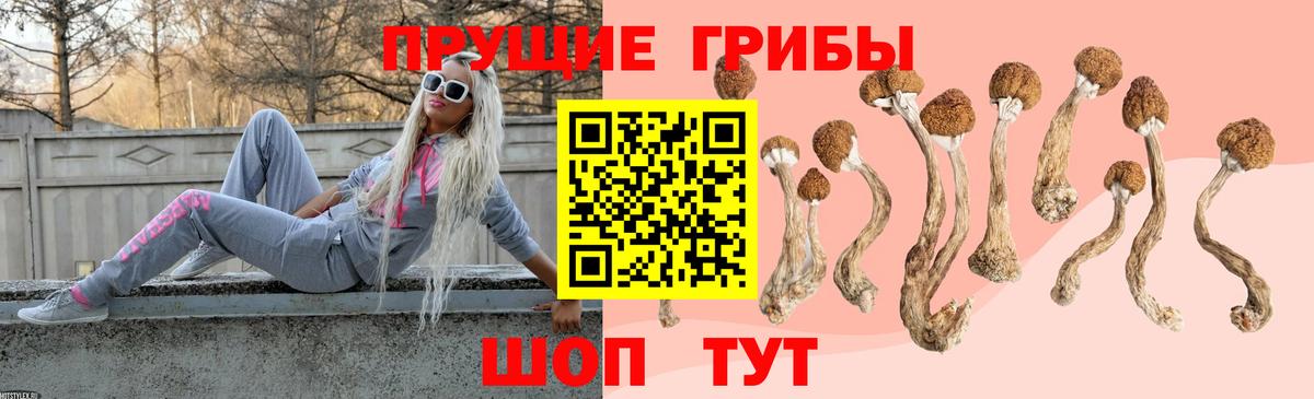 Ногинск  Галлюциногенные грибы мухоморы  как найти наркотики  Вход с VPN 